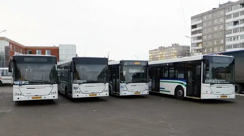 Транспорт уфа автобус