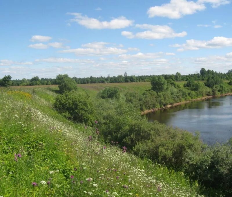 Старая русса участки. Старая русса участки. Старая русса участки. Старая русса участки. Старая русса участки.