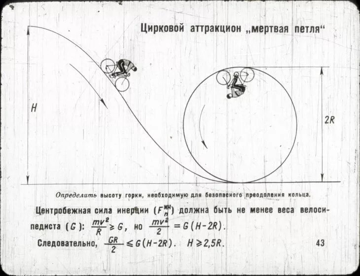 Огэ 2025 аттракционов в цирковом вариант 1