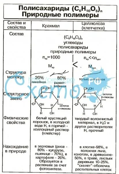 Химические свойства крахмала и целлюлозы таблица. Сравнение крахмала и целлюлозы таблица. Строение молекулы крахмала и целлюлозы таблица. Признаки сравнения крахмала и целлюлозы таблица.