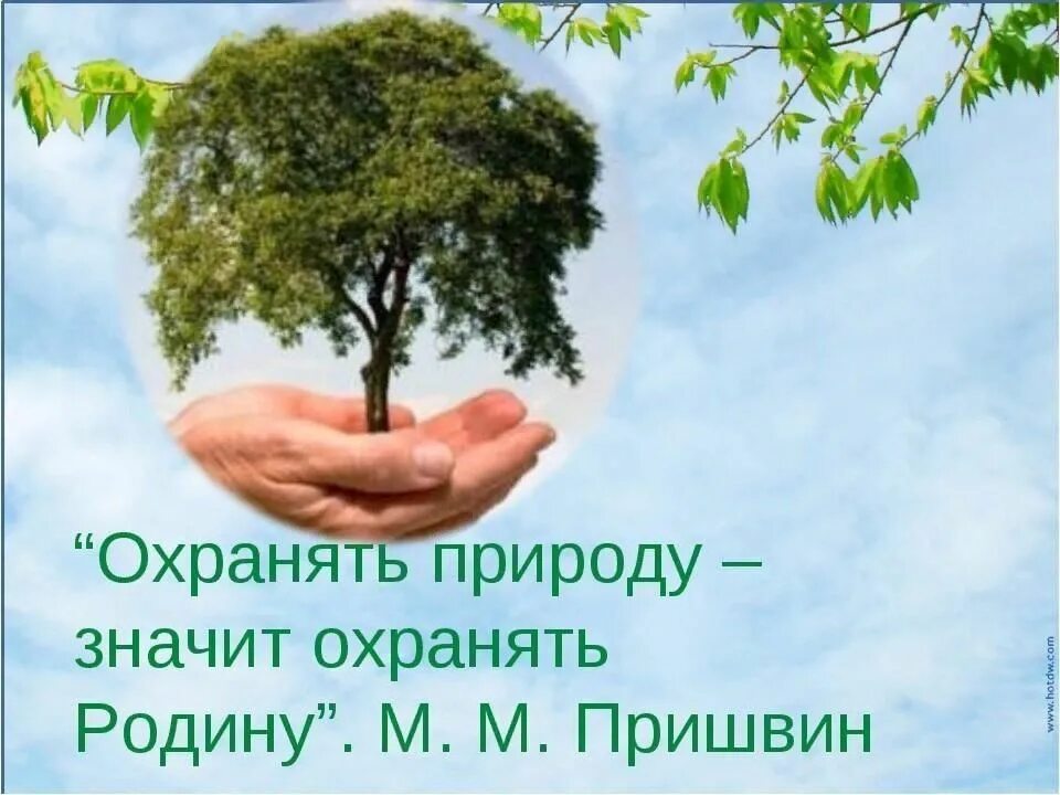 Нужно любить природу. Охранять природу значит любить родину. Сохраним природу. Охранять природу охранять родину. Охранять мир природы.