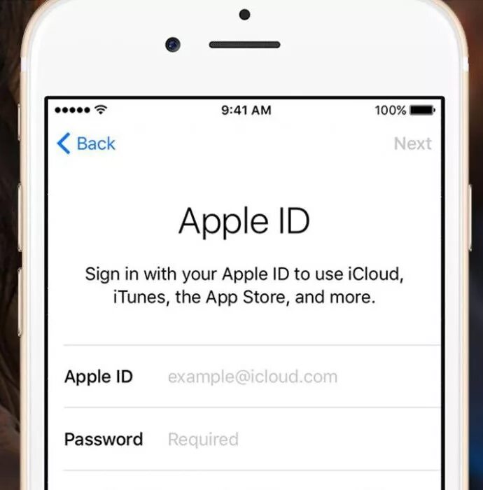 Apple ID что это на айфоне 11. Идентификатор Apple ID как выглядит. Apple ID В айфоне 10. Как должен выглядеть Apple ID.