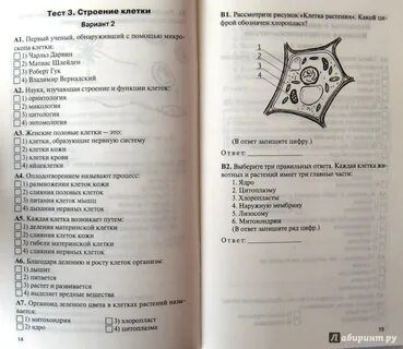 Тест по биологии 5 класс полугодие