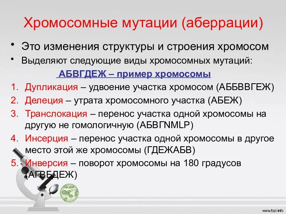 Хромосомные мутации. Хромосомные мутации примеры. Виды хромосомных аберраций. Виды хромосомных мутаций (аберраций).