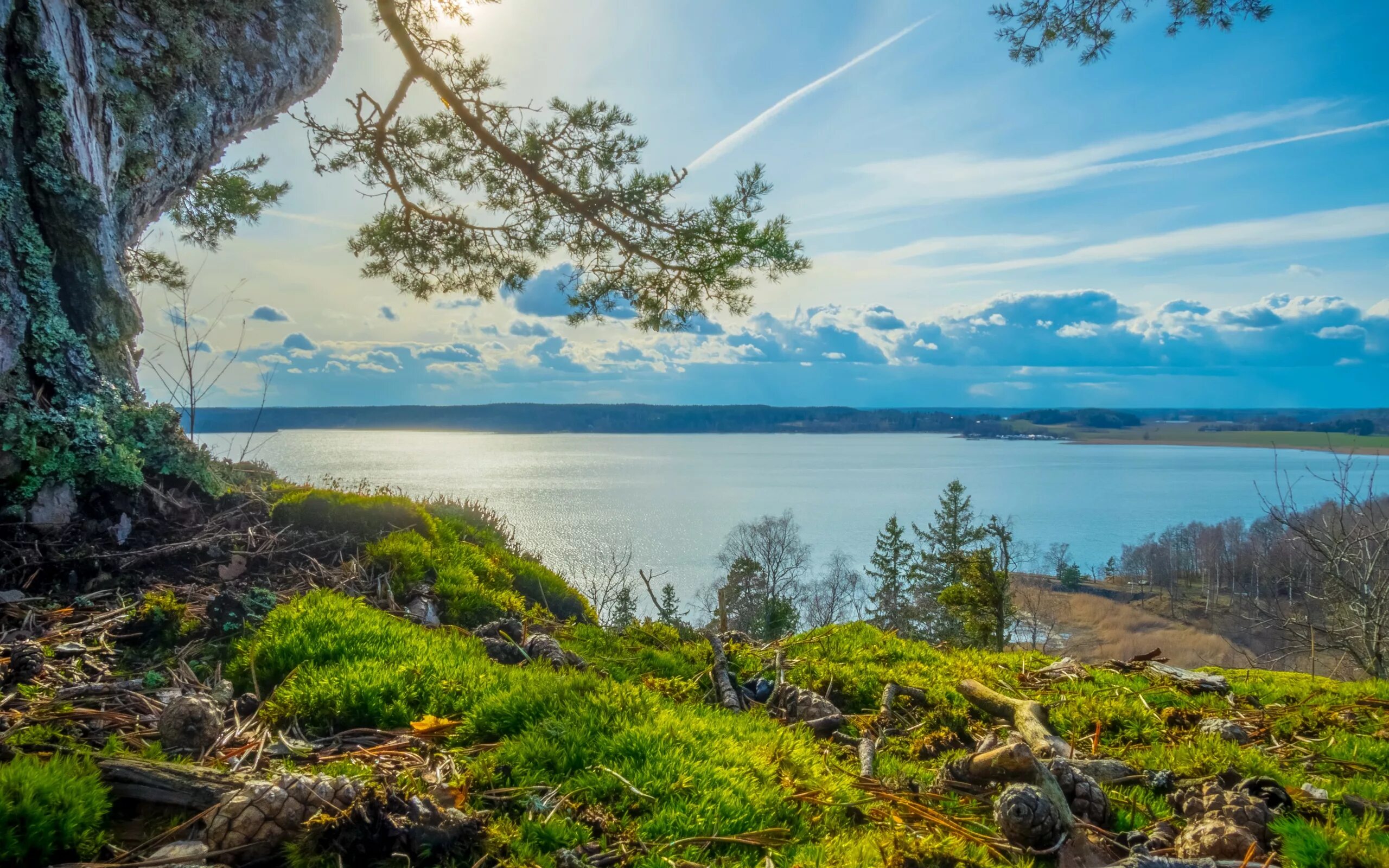 Зап 1 лярная природа. Тургояк. Озеро Токерн Швеция. Ладожские шхеры. Ландшафт Швеции.