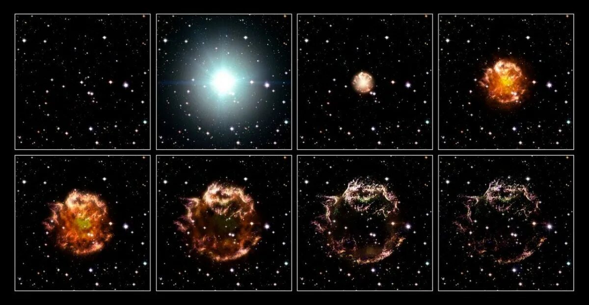 Очень быстрое сжатие. Этапы рождения сверхновой звезды. Эволюция взрыв сверхновой звезды. Взрыв сверхновой звезды схема. ГИПЕРНОВАЯ звезда Сверхновая.