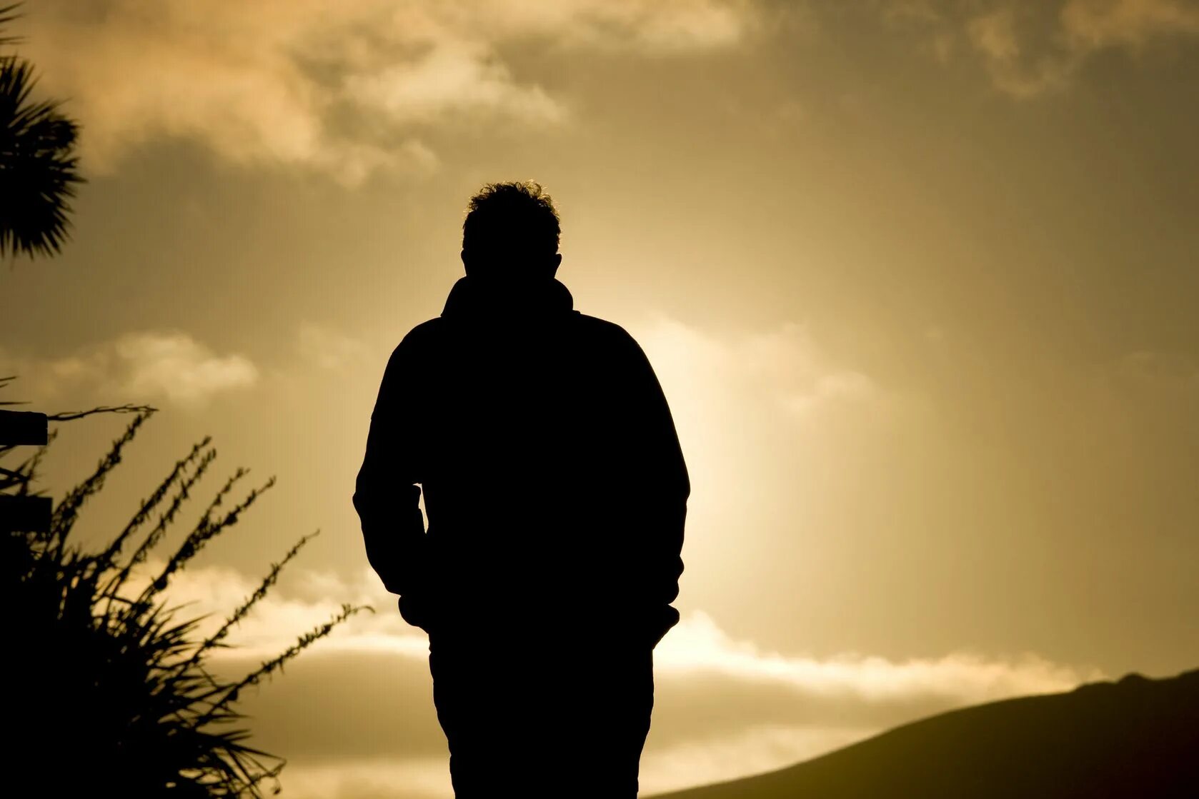 Фото парня со спины. Спина человека. Men behind. Men behind. Тень мужчины.