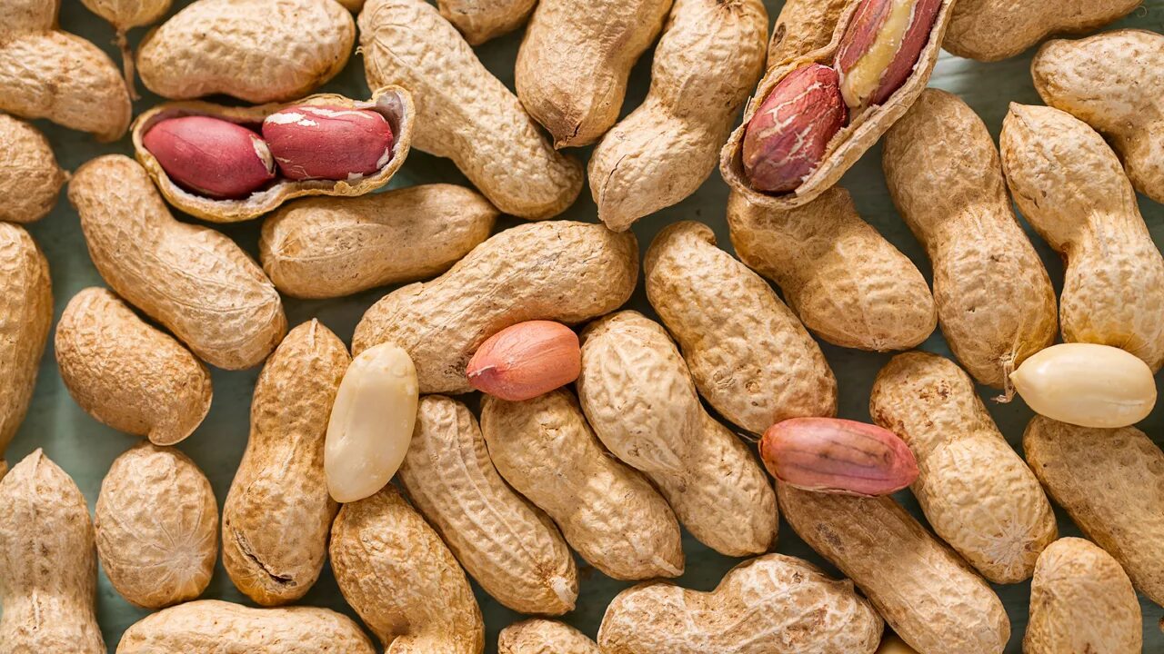 Роды арахиса. Арахис семейство. Арахис это бобовые. Арахис Виржиния. Орех похожий на арахис.