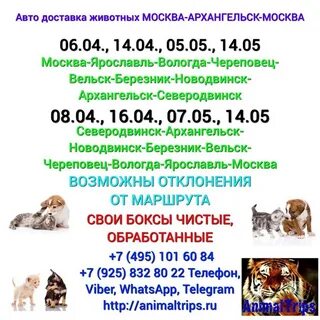 Северодвинск вельск