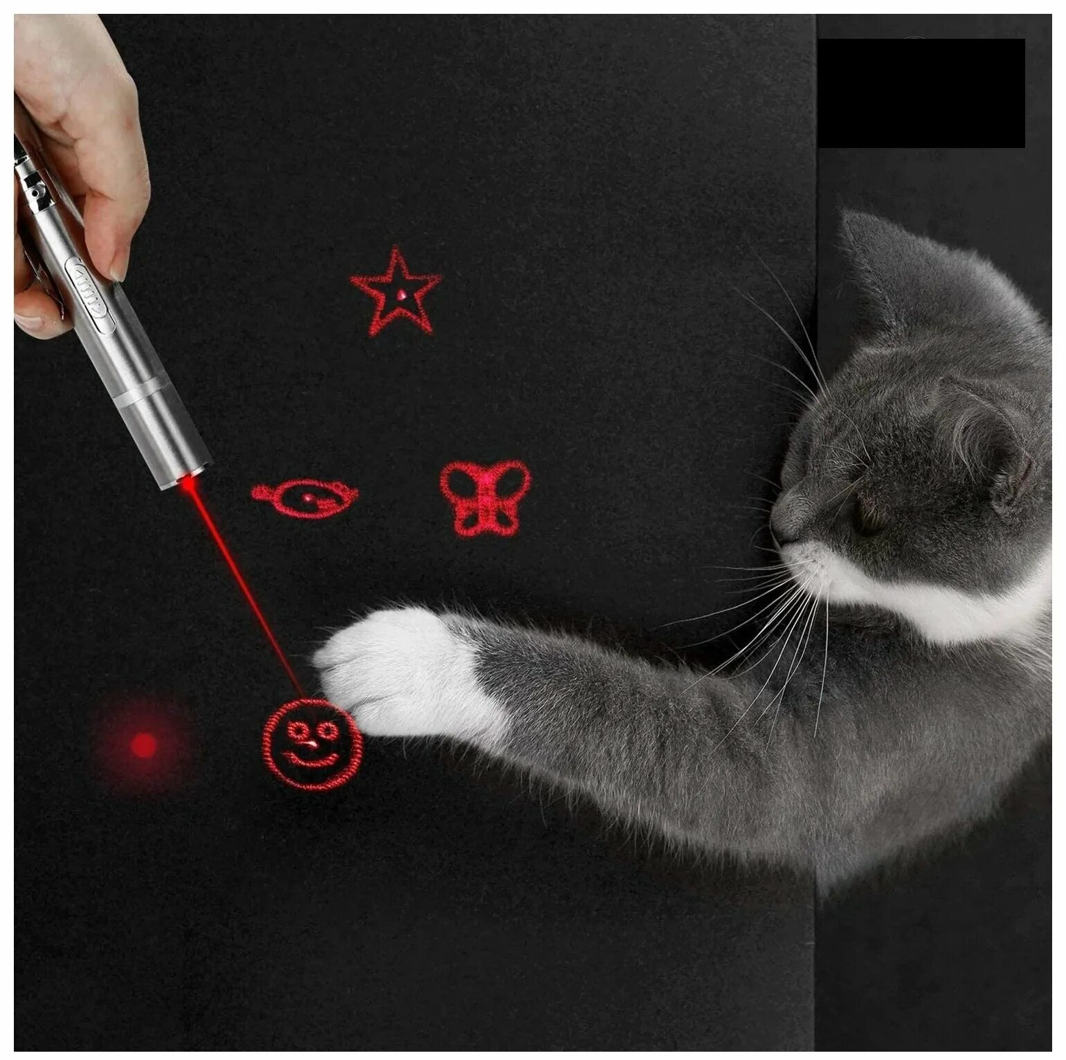 Указка для кошек купить. Лазерная указка AG Smart. Лазерная указка 7 в 1 для кошек и собак лазер УФ фонарик с USB зарядкой. Лазерная указка 7 в 1. Автоматическая лазерная указка для кошек.