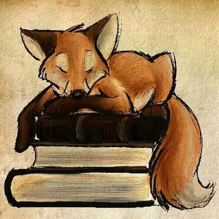 Книги про Лис. Книга про Лисенка. Лиса с книжкой. Лисичка с книжкой. Reading fox