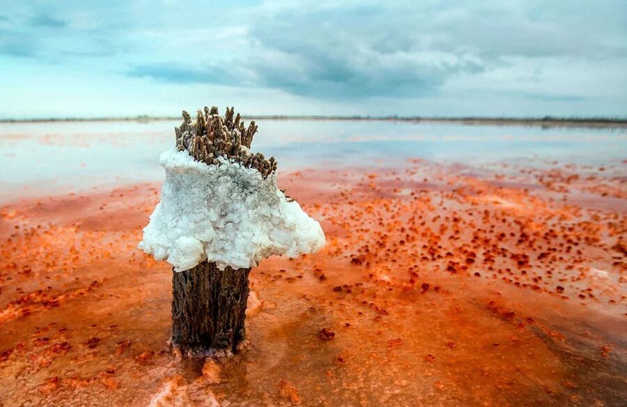 сиваш гнилое море. соляное озеро крым сиваш. залив сиваш в крыму. лиман сиваш. сасык-сиваш.