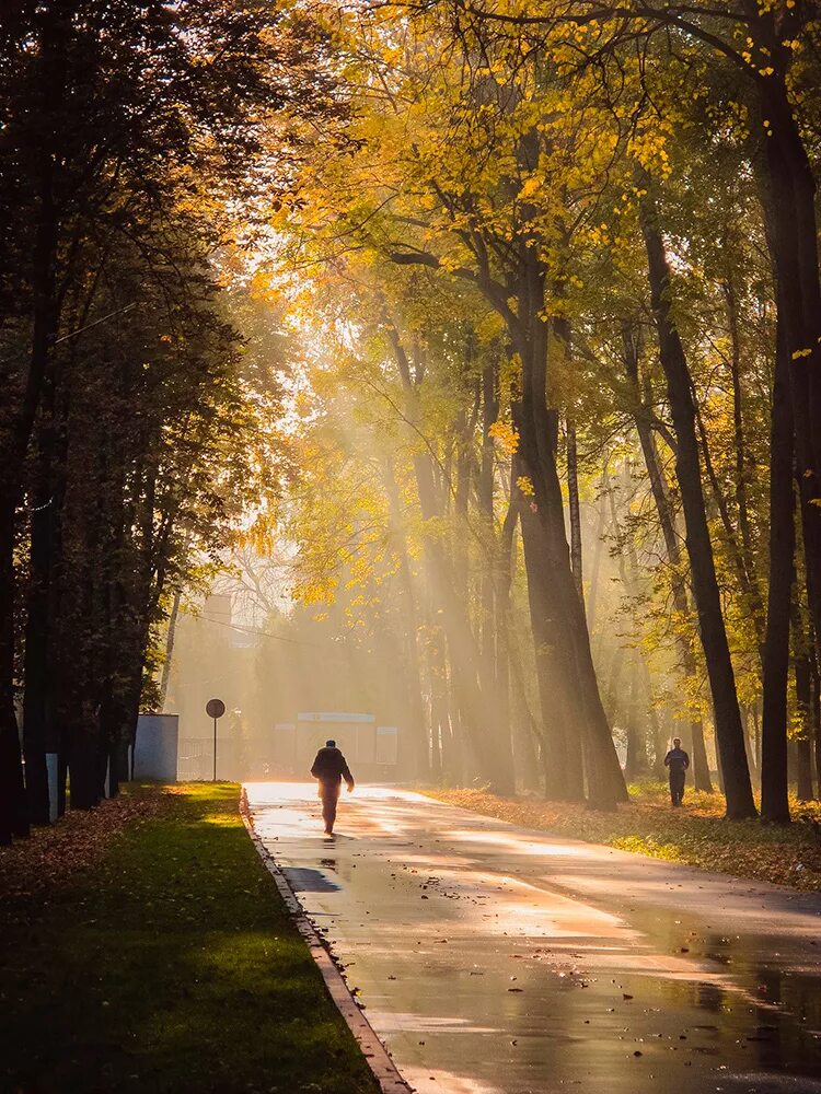 Прогулка ранним утром. Осенний парк. Осеннее утро в городе. Осень в городе. Осень в парке.