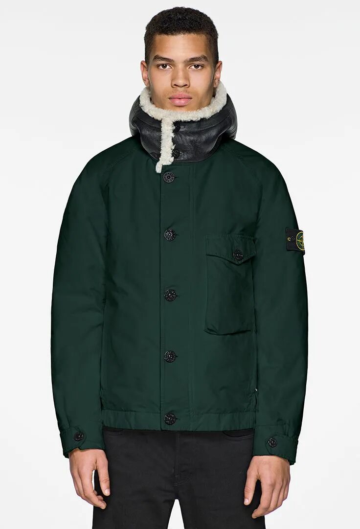 David island. Stone Island AW 017/018. Stone Island куртка David Light-TC with micropile. Stone Island David OVD куртка. Stone Island David OVD пуховик.