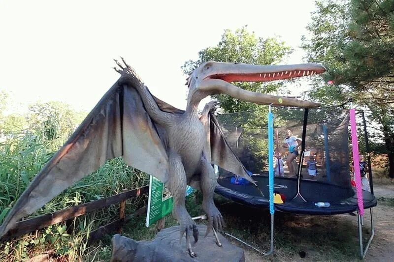 Динозавр в анапе. Анапа парк динозавров. динопарк в джунгли парк анапа. парк динозавров рекс в анапе. парк планета динозавров анапа.