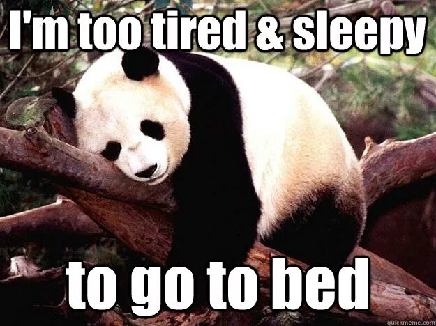 Wake up комикс. Мем go to. I. Asleep перевод. When am i going to sleep.