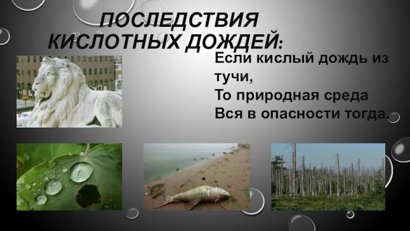 Каковы последствия кислотных дождей. Последствия кислотных дождей. последствия кислотных осадков. кислотные дожди последствия загрязнения. кислотные дожди химия.