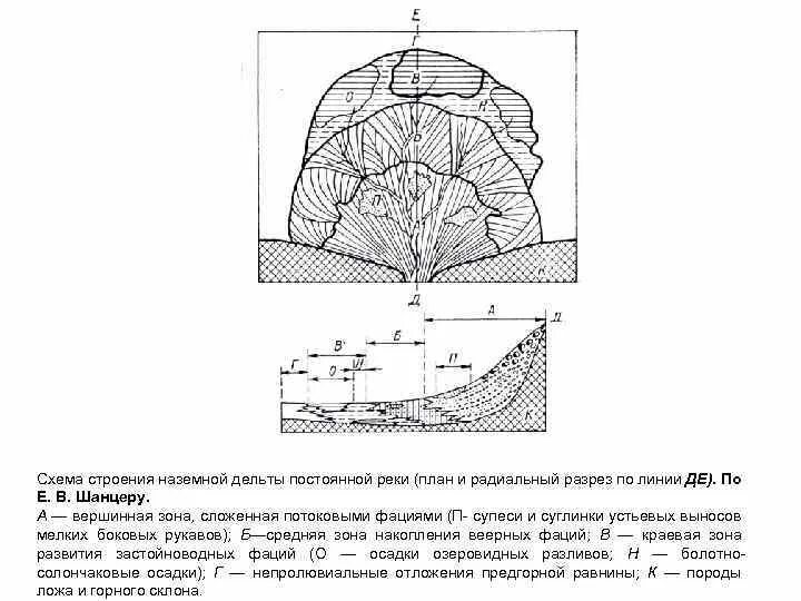Конус выноса подводный. Наземное сооружение имеющее внутреннее пространство. Конус выноса геология. Строение муравейника для детей. Наземное строение.
