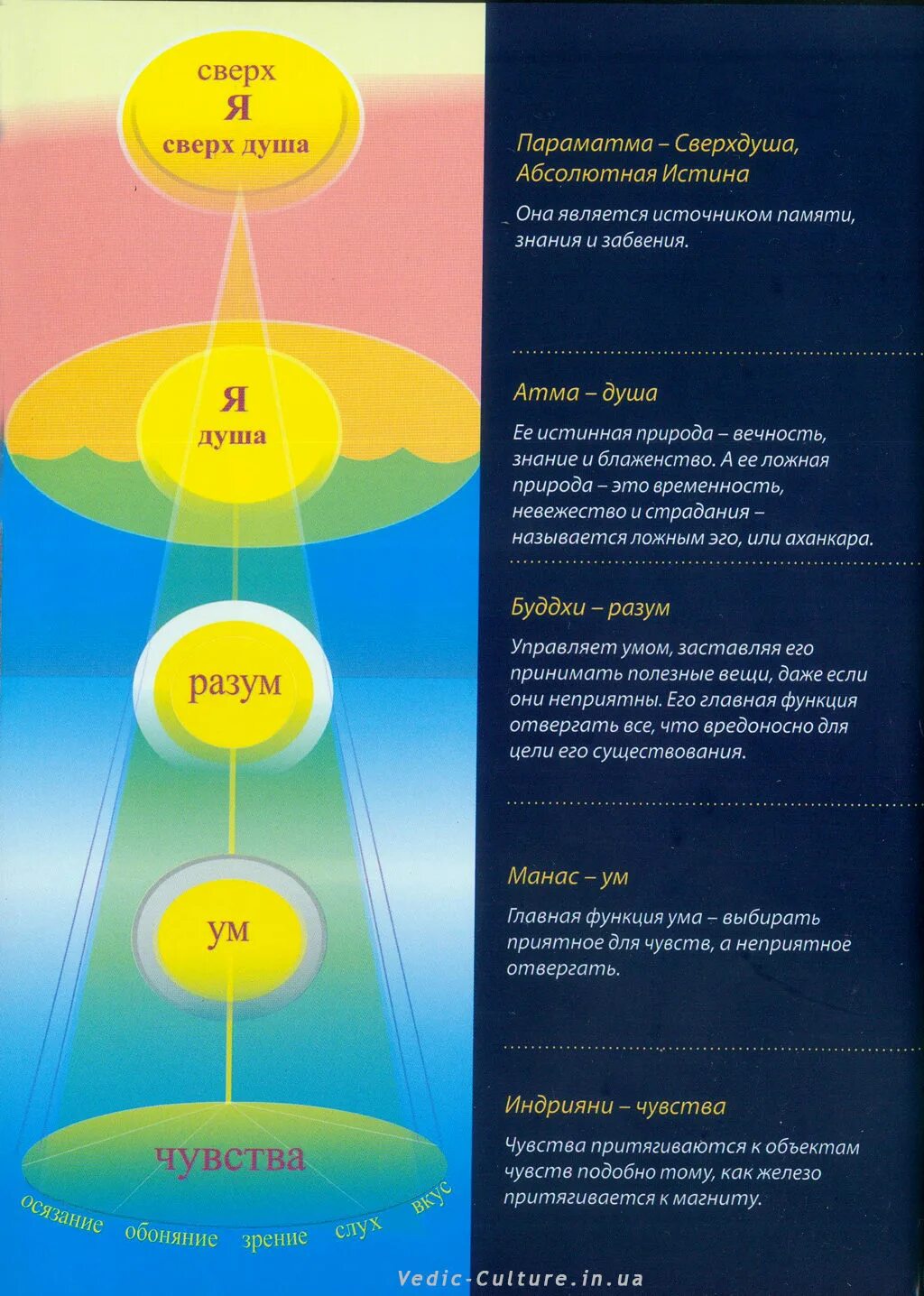 Уровни сознания. Уровни сознания человека. Уровни развития сознания человека. Чувства ум разум. Книги дух душа
