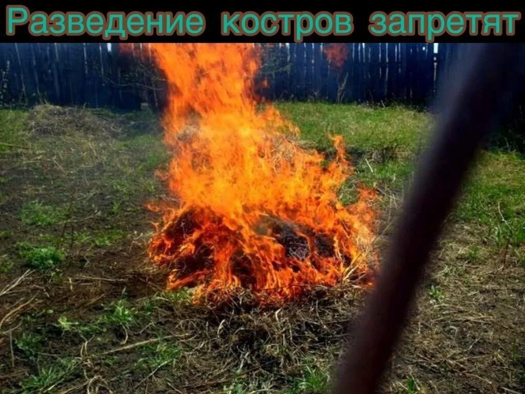 Штраф за разведение костра в лесу. Костер. Таблички мангалы запрещены. Сжигании сухой травы весной. Разведение костров 2024.