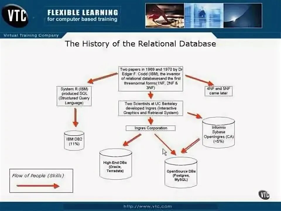 Database history. Database history. Databases history. What is sql. Database history.