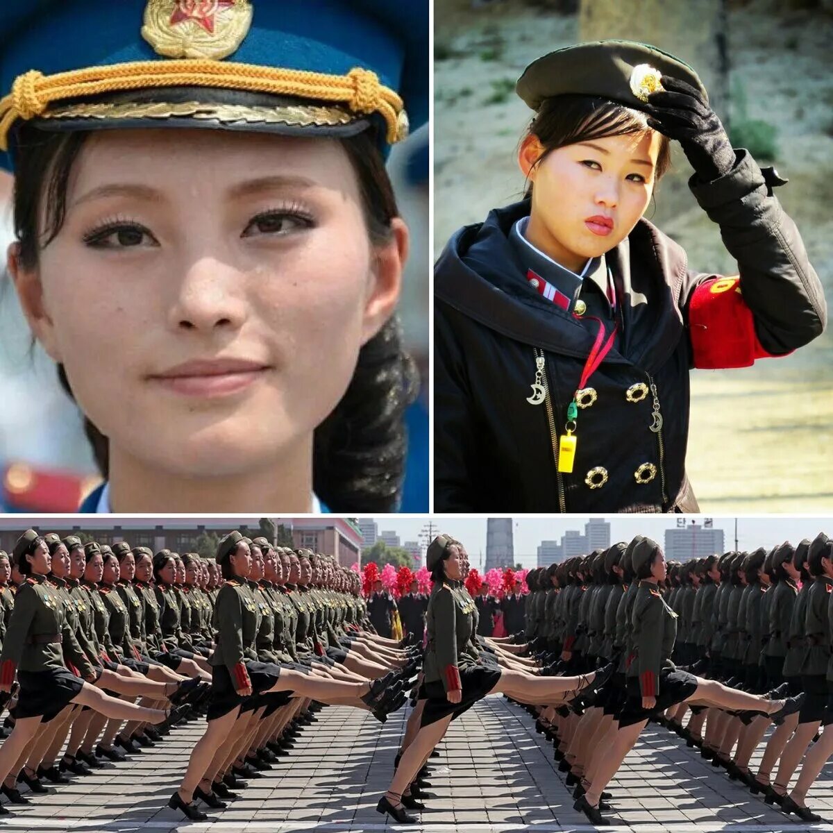 Автобусные остановки в японии. Южная корея закрыта. Северная корея 2022 г. Познавательный туризм в корее. Радиационные ливни.