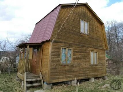 Березка 1