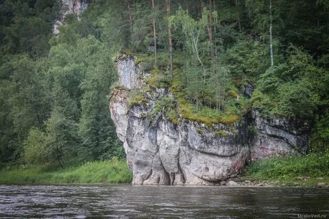 Ураловеды