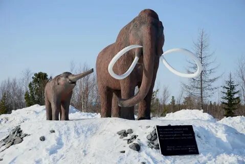 Ямальская филармония салехард