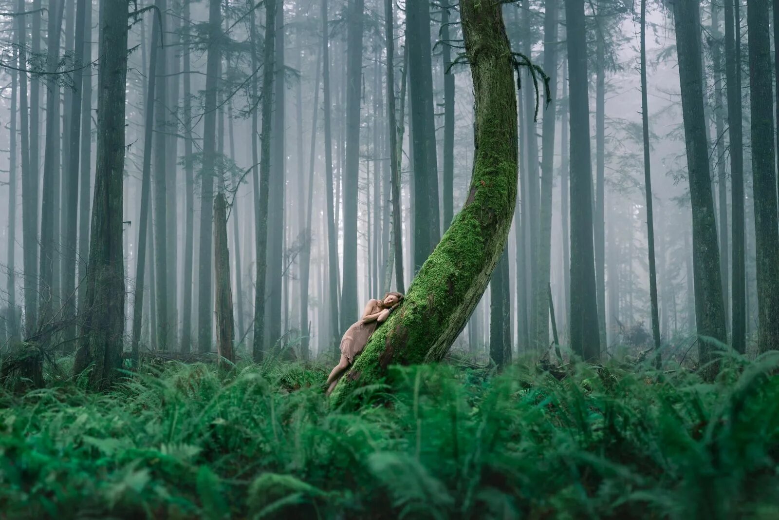 Дерево world of. Фотосессия левитация в лесу. Побег из шоушенка дерево. Клип где дерево. Фараон певец 2023.