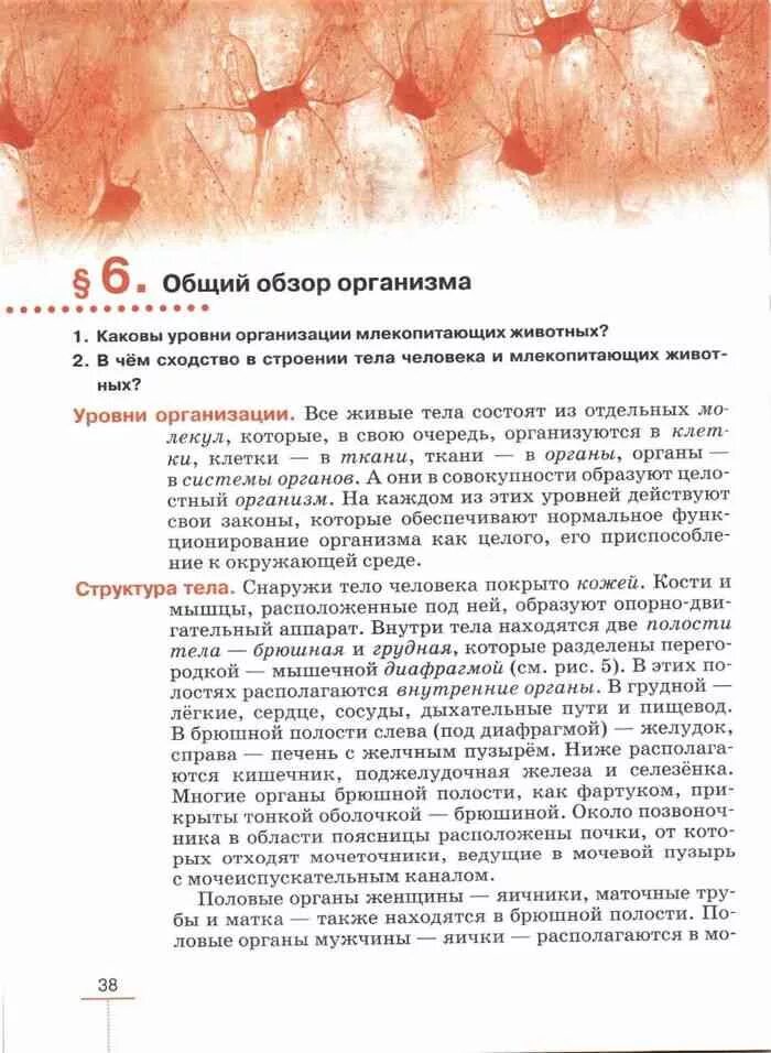 Общий обзор организма конспект. Биология 8 класс учебник параграф 10 читать. Биология 8 класс темы пасечник. Биология. Биология 8 класс учебник параграф 10 читать.