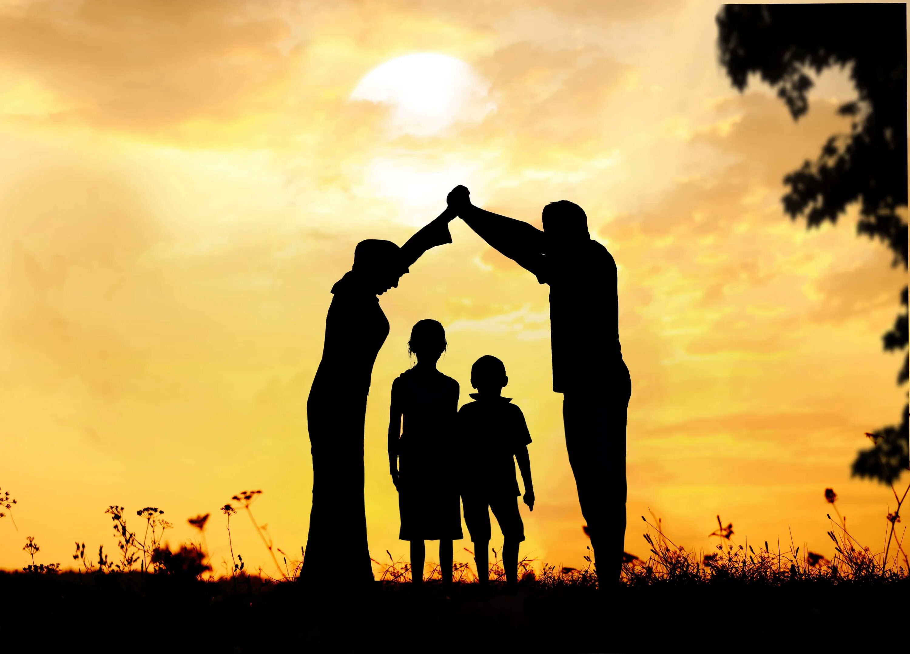 How is your family. How is your family