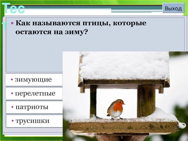 Тест птицы 8 класс с ответами. Тест про птиц 2 класс. Почему поезда называют птицами. Наука о птицах называется контрольная работа. Город птица тест.