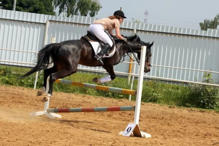 Кск конкорд манеж. Кск краска. Конный спорт падения. Кск новочеркасск. Конный клуб карьер ялта.