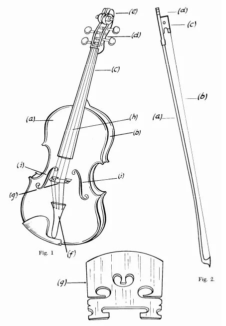 Скрипка методика. Составные части скрипки схема. Строение скрипки схема. Строение виолончели схема. Строение контрабаса схема.