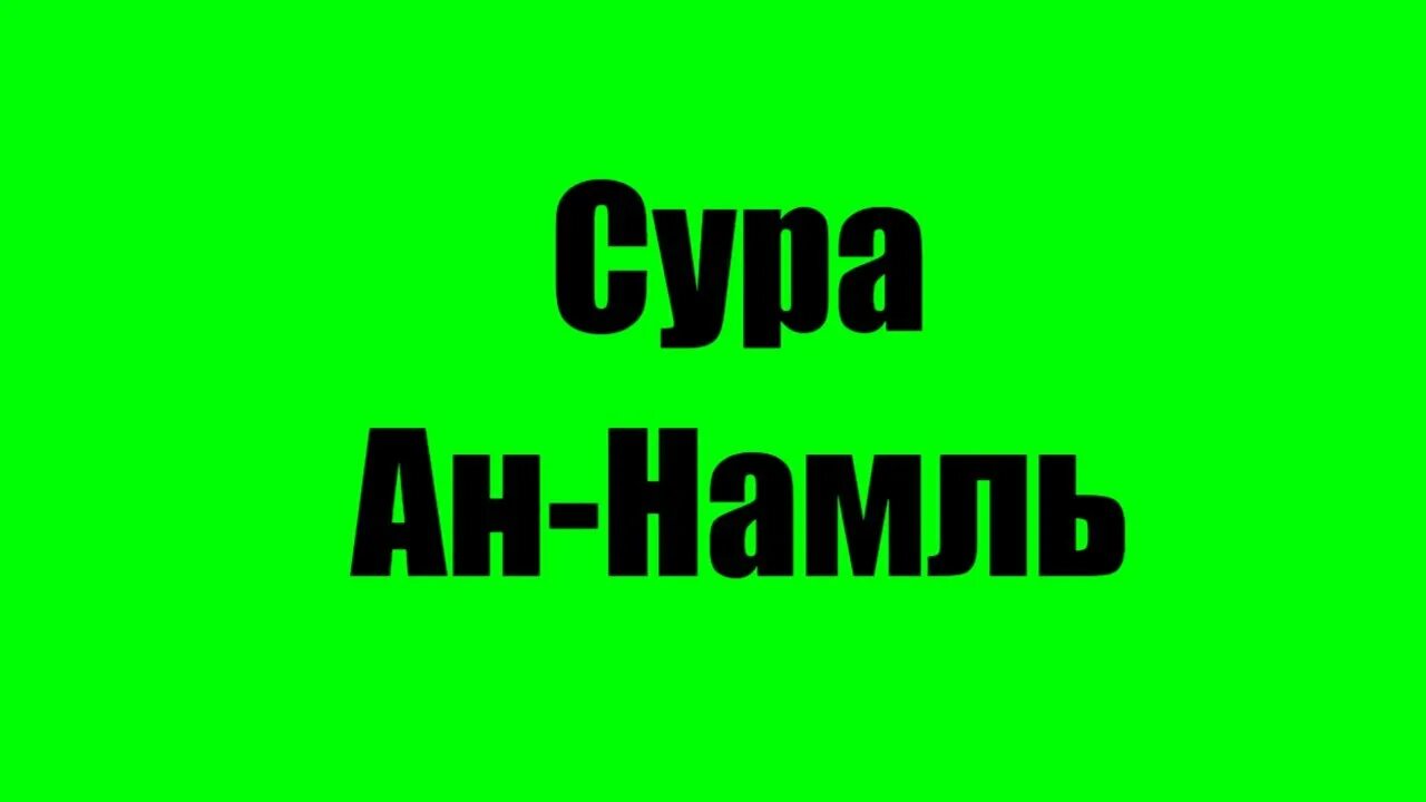 Сура АН-Намль 91-92.