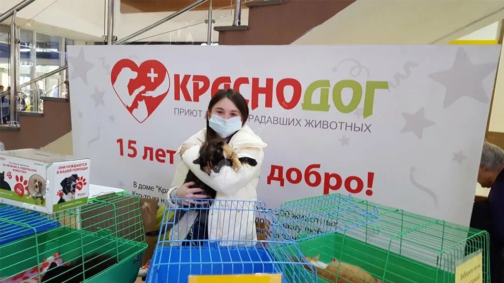 Сайт волонтеры животных