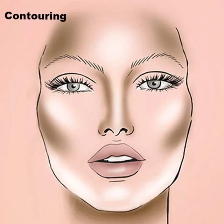 How to Cover Up a Pimple Like a Pro: Step-by-Step Guide How to use makeup, Profe