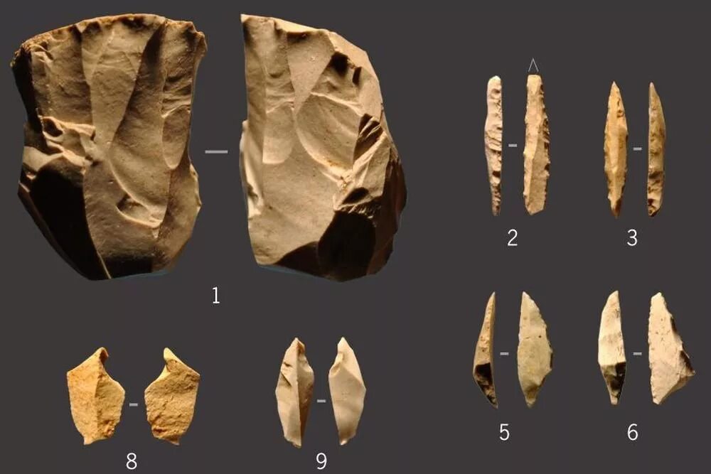 Каменные орудия древних людей найденные археологами. Кремневые орудия труда каменного века. Мезолитические орудия труда. Археологические находки мезолита.