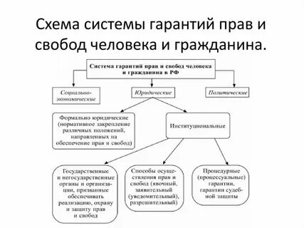 Система охраны законодательства