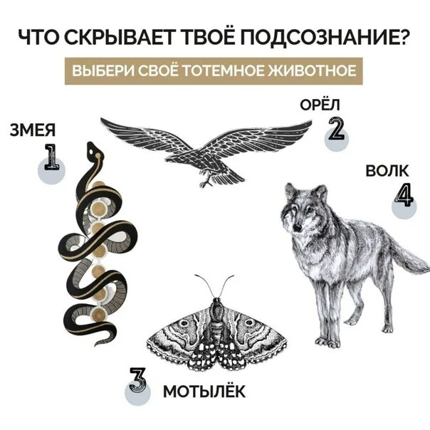 Как определить тотемное животное. Как выбрать символ животное.