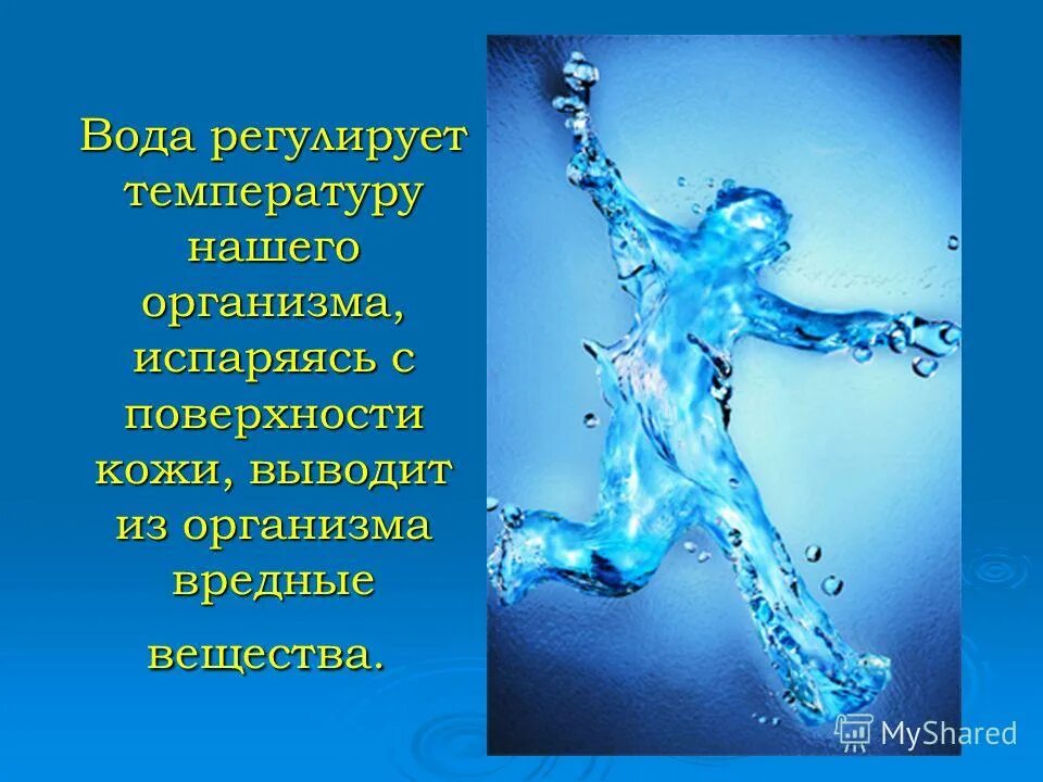 Воды жизни купить. Вода основа жизни. Вода в нашем организме. Вода для презентации. Вода источник жизни.