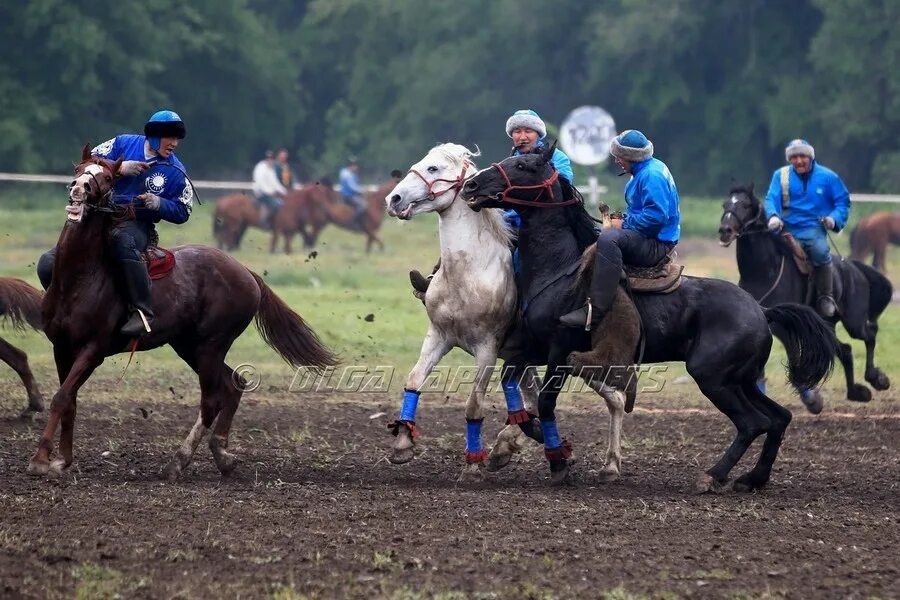 Национальные виды конного спорта. Тогыз кумалак. Национальные виды спорта Хакасии. Көкпар в саду фото. Ұлттық ойындар түрлері