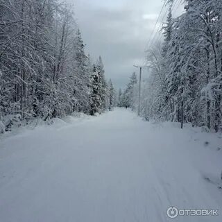 Апатиты лыжная трасса