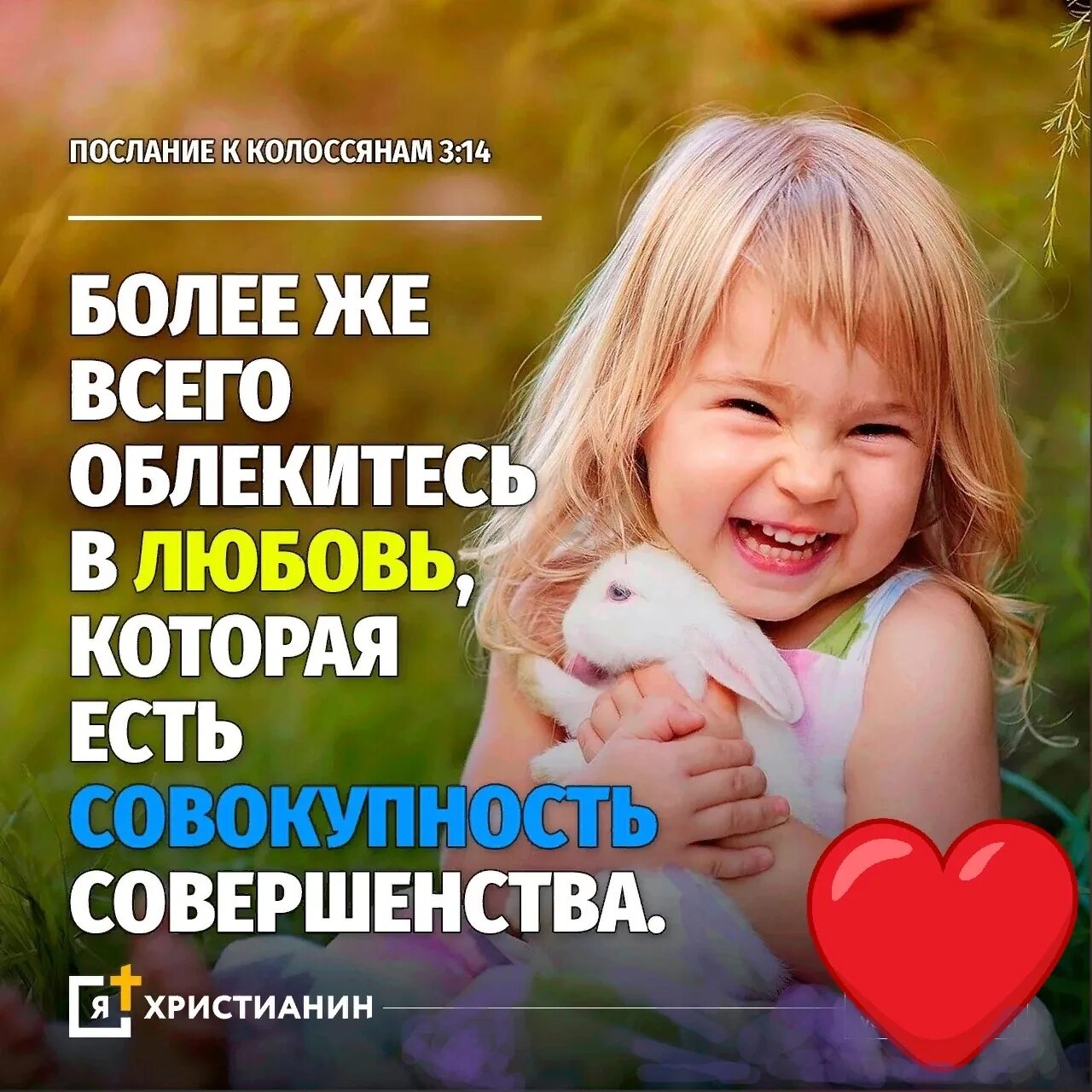 Любовь совокупность совершенства. Любовь совокупность совершенства. Любовь есть совокупность совершенства библия. Любовь совокупность совершенства. Более всего облекитесь в любовь.