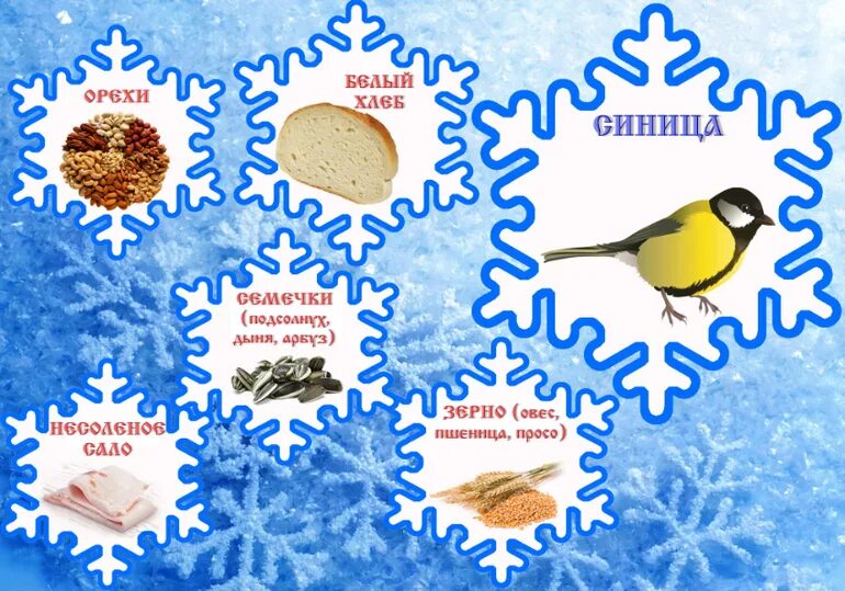 Планирование зимующие птицы