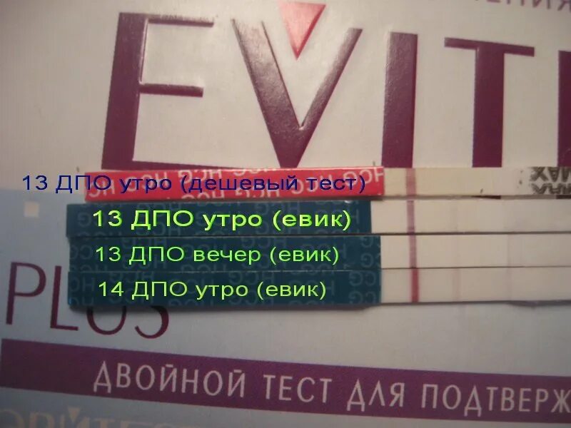 Дополнительное профессиональное образование тесты. 14 ДПО тест на беременность. 12 ДПО тест. На 14 ДПО тест на беременность отрицательный. 13-14 ДПО тест.