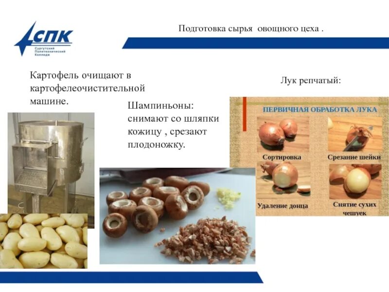 Как производят механическую кулинарную обработку картофеля. Подготовка сырья к производству. подготовка сырья картофеля. способы очистки картофеля. очистка картофеля в картофелеочистительной машине.