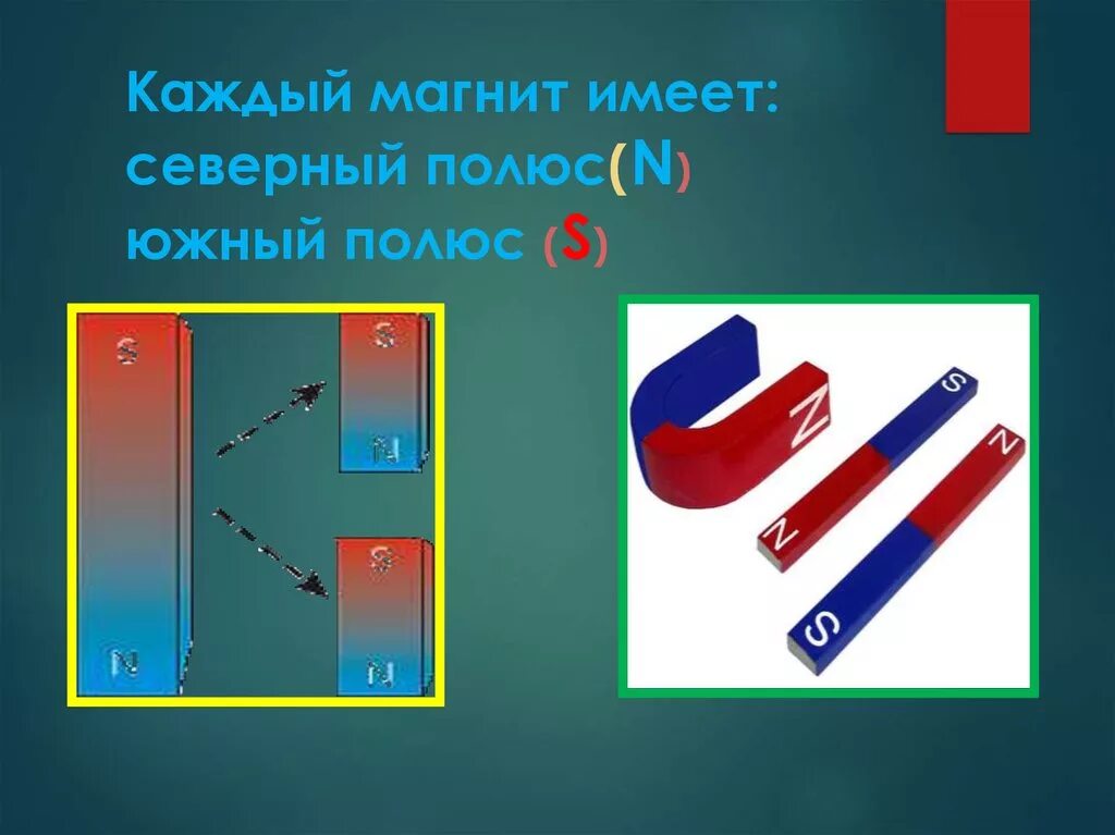 Северный и Южный полюс магнита. Свойства полюсов магнита. Магнитные полюса магнита. Северный полюс и Южный полюс магнита. К северному полюсу магнита поднесли южный