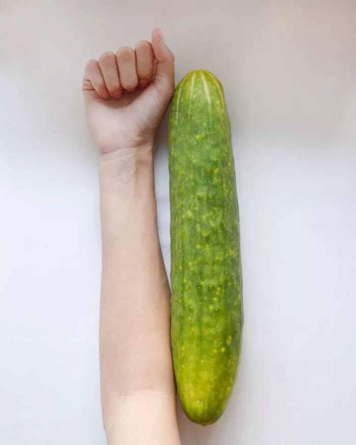Огурец описание. Сколько см огурец. Сколько см огурец. Огурец и 2 помидора. Строение огурца.